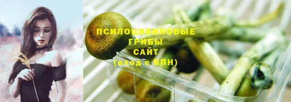 дурь Переславль-Залесский