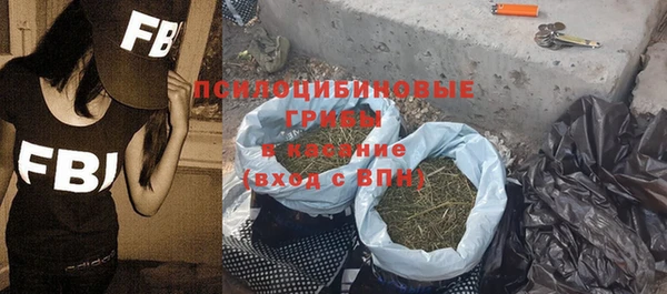 дурь Переславль-Залесский