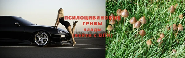 гашиш Пересвет