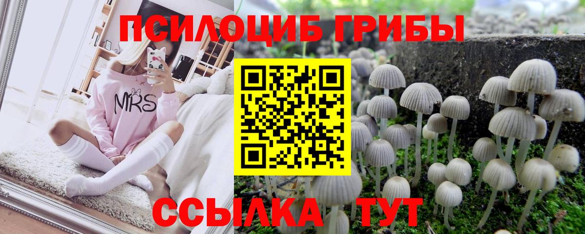 дарнет шоп  Галлюциногенные грибы прущие грибы  Псилоцибиновые грибы Magic Shrooms  Вход с VPN  Обнинск 
